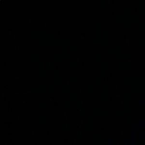 Meet your Posher, Isaac